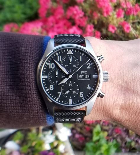 iwc chronograph review.